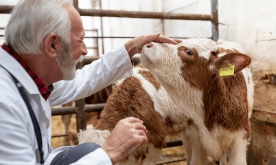 Diagnóstico temprano y su impacto en la sanidad animal