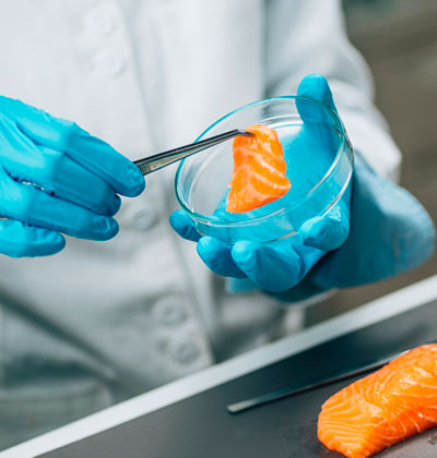 Análisis de alimentos