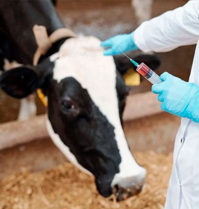 Análisis veterinarios